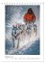 Schlittenhunderennen (Tischkalender... - Bild 5
