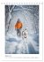 Schlittenhunderennen (Tischkalender... - Bild 7