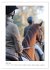 Die Champions im Sattel (Wandkalender... - Bild 12