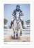 Die Champions im Sattel (Wandkalender... - Bild 13