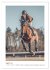 Die Champions im Sattel (Wandkalender... - Bild 14