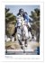 Die Champions im Sattel (Wandkalender... - Bild 3