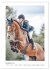 Die Champions im Sattel (Wandkalender... - Bild 4