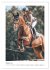 Die Champions im Sattel (Wandkalender... - Bild 7