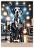 Rockstar Dalmatiner (Wandkalender 2026... - Bild 9