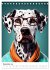 Hunde im Hipster Stil (Tischkalender... - Bild 5