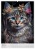 Boho Katzenbabys (hochwertiger Premium... - Bild 11