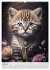Boho Katzenbabys (hochwertiger Premium... - Bild 10