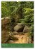 Ich bin dann mal im Wald (Wandkalender... - Bild 14