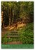 Ich bin dann mal im Wald (Wandkalender... - Bild 15