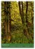 Ich bin dann mal im Wald (Wandkalender... - Bild 4