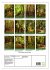 Ich bin dann mal im Wald (Wandkalender... - Bild 6