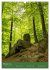 Ich bin dann mal im Wald (Wandkalender... - Bild 8
