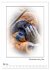 Affenblicke (Wandkalender 2026 DIN A2... - Bild 11