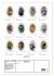 Affenblicke (Wandkalender 2026 DIN A2... - Bild 6