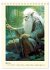 Zauberland. Der magische Ort hinter dem... - Bild 11