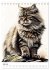 Katzen wie gemalt (Tischkalender 2026... - Bild 13