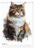 Katzen wie gemalt (Tischkalender 2026... - Bild 7