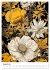 Wiesenmagie (hochwertiger Premium... - Bild 13
