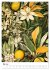 Wiesenmagie (hochwertiger Premium... - Bild 10