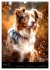 Australian Shepherd (Wandkalender 2026... - Bild 8