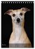 Whippets im Portrait (Tischkalender... - Bild 11