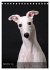 Whippets im Portrait (Tischkalender... - Bild 15