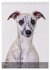 Whippets im Portrait (Tischkalender... - Bild 8