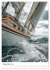 Wind und Wellen (Wandkalender 2026 DIN... - Bild 15