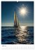 Wind und Wellen (Wandkalender 2026 DIN... - Bild 10
