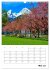 Urlaub in Oberbayern - zwischen... - Bild 11