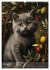 Katzen Kunstillustrationen... - Bild 7