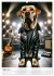 Rockstar Labbi (Wandkalender 2026 DIN... - Bild 9