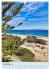 Drei-Insel-Tour (Wandkalender 2026 DIN... - Bild 4