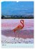 Drei-Insel-Tour (Wandkalender 2026 DIN... - Bild 10