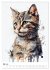 Katzen wie gemalt (Wandkalender 2026... - Bild 11