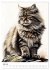 Katzen wie gemalt (Wandkalender 2026... - Bild 13