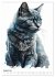 Katzen wie gemalt (Wandkalender 2026... - Bild 14