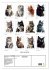 Katzen wie gemalt (Wandkalender 2026... - Bild 6