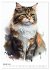 Katzen wie gemalt (Wandkalender 2026... - Bild 7