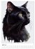 Katzen wie gemalt (Wandkalender 2026... - Bild 10