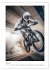 BMX Action (Wandkalender 2026 DIN A3... - Bild 13