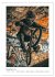 BMX Action (Wandkalender 2026 DIN A3... - Bild 4