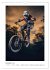 BMX Action (Wandkalender 2026 DIN A3... - Bild 5