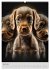 Zauberhafte Hundebabys (Wandkalender... - Bild 12