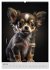 Zauberhafte Hundebabys (Wandkalender... - Bild 13