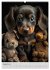 Zauberhafte Hundebabys (Wandkalender... - Bild 14