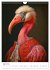 Tierische Kunst - Eine Sammlung von... - Bild 10