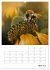 Helden in der Natur (Wandkalender 2026... - Bild 11