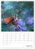 Helden in der Natur (Wandkalender 2026... - Bild 12